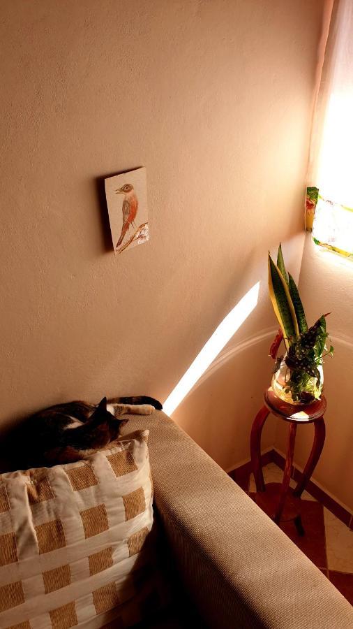 Chacara Artistica Em Socorro-sp Holiday home Socorro (Sao Paulo)